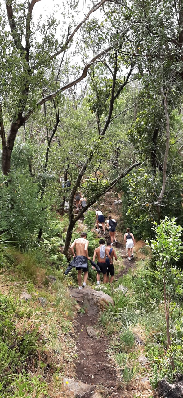 whatsapp image 2020-12-09 at 14.55.04 2.jpeg